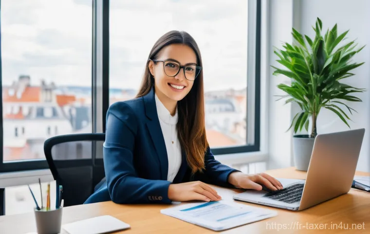 세무사와 세법 교육 프로그램 - **Prompt for "Tax Optimization for Individuals"**:
    A warm and inviting scene depicting a French ...